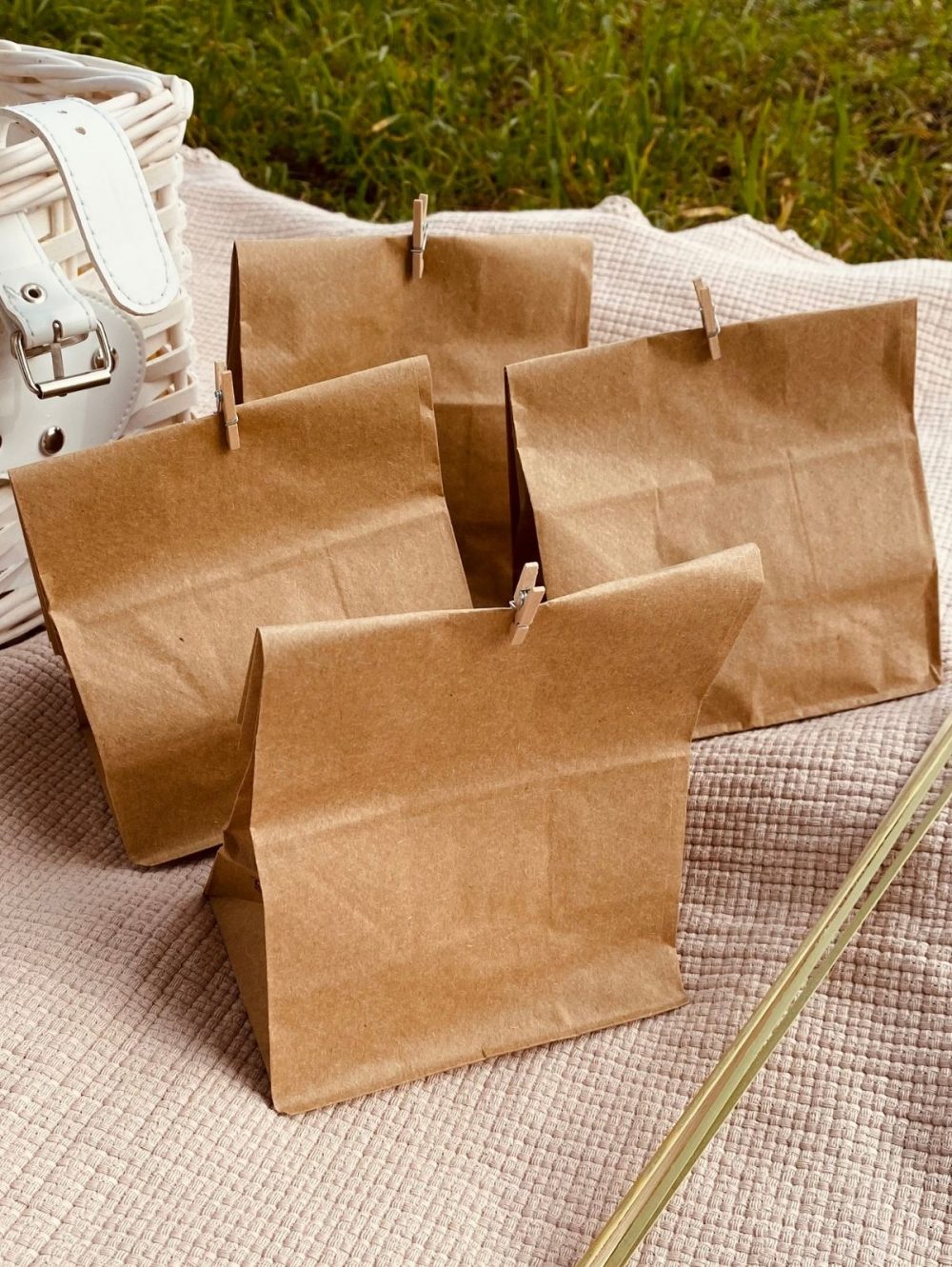 bolsa-papel-picnic